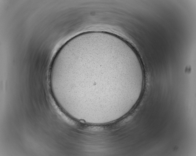 X0000112521517200909141211