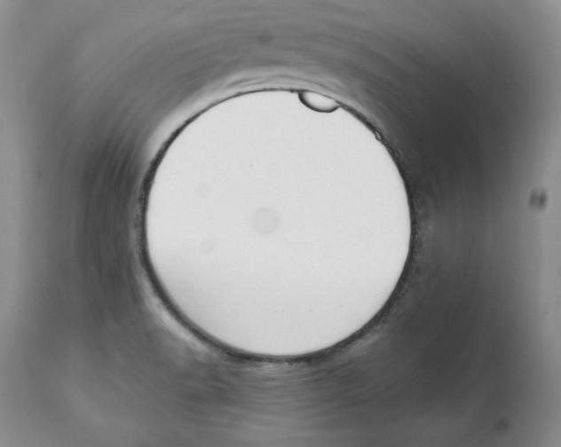 X0000112521518200909141211