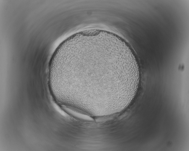 X0000112521519200909141211