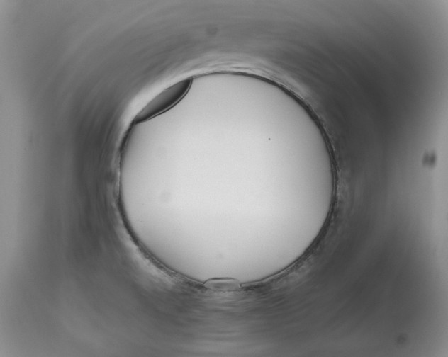 X0000112521520200909141211