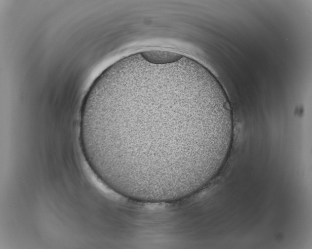 X0000112521523200909141211