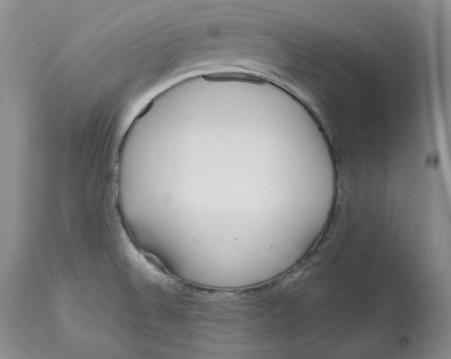 X0000112521524200909141211