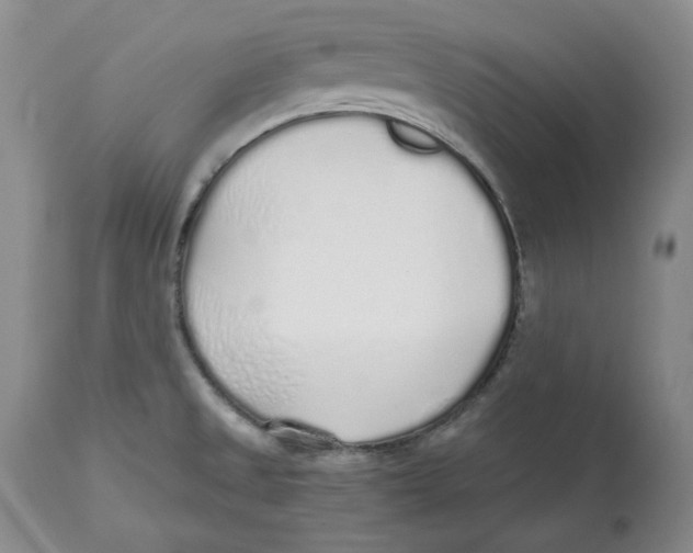 X0000112521525200909141211