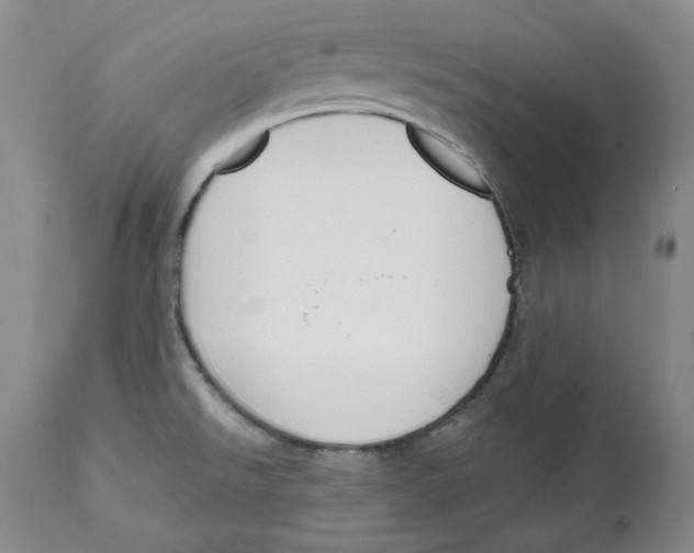 X0000112521526200909141211