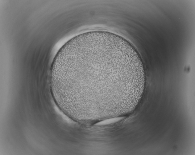 X0000112521527200909141211