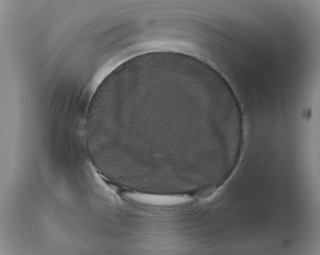 X0000112521529200909141211