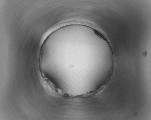 X0000112521530200909141211