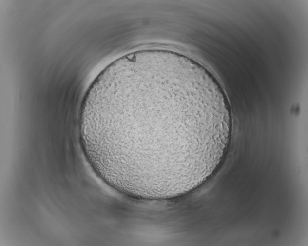 X0000112521533200909141211