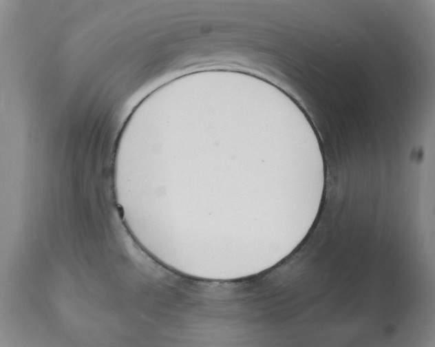 X0000112521534200909141211
