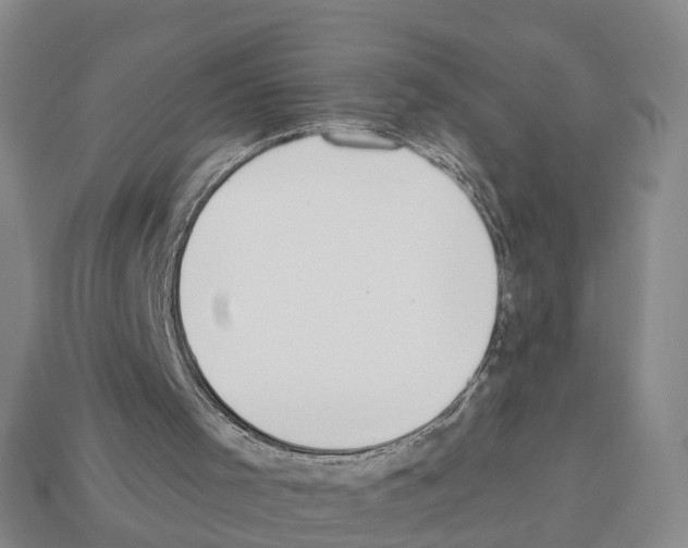 X0000112520001200909281026
