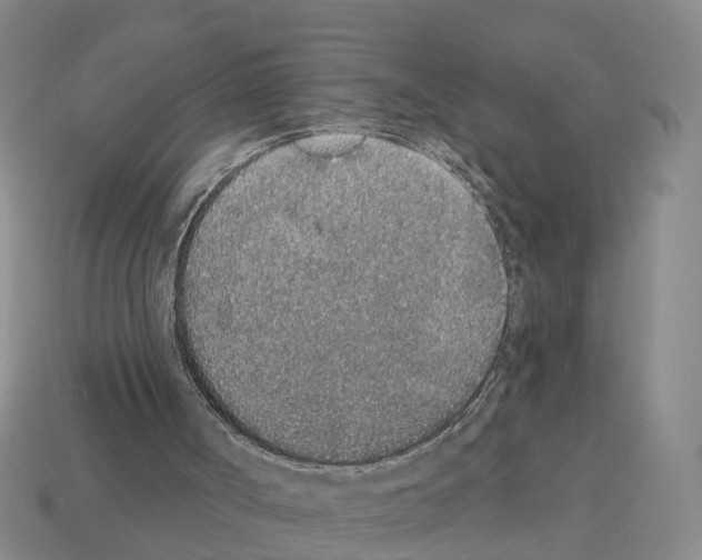 X0000112520002200909281026