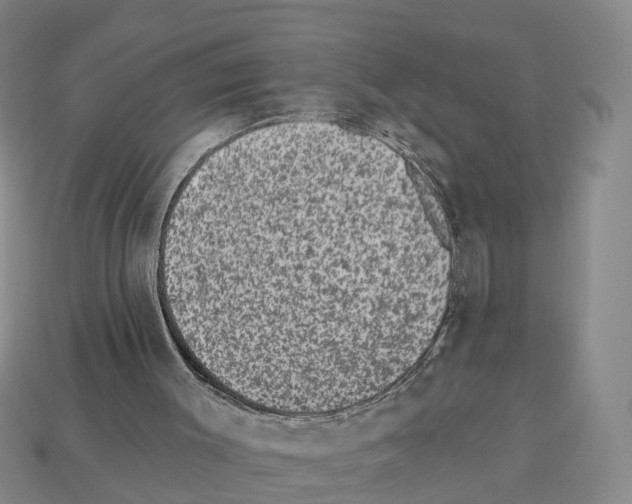 X0000112520003200909281026