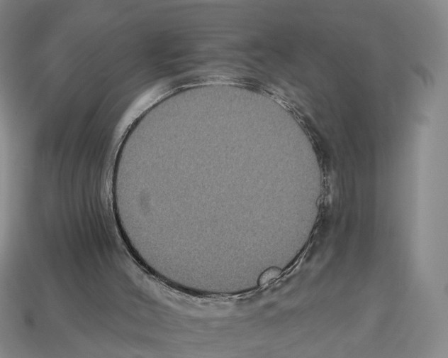 X0000112520004200909281026