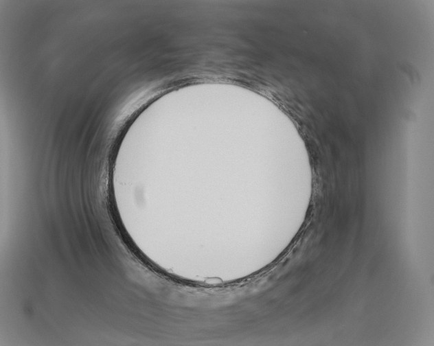 X0000112520005200909281026