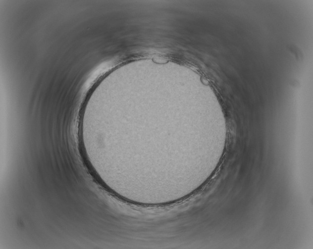 X0000112520006200909281026