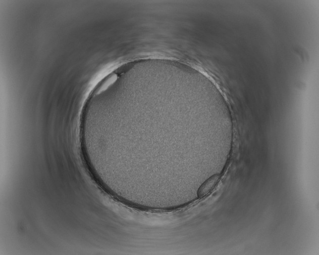 X0000112520008200909281026