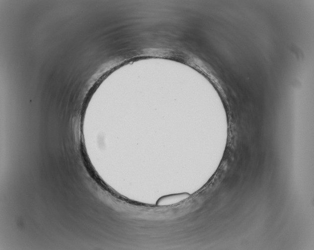 X0000112520011200909281026