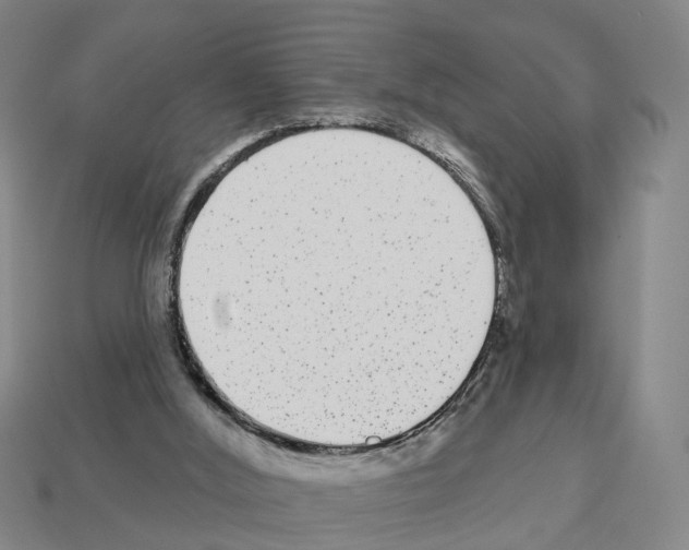 X0000112520012200909281026