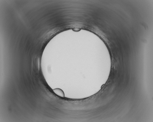 X0000112520013200909281026