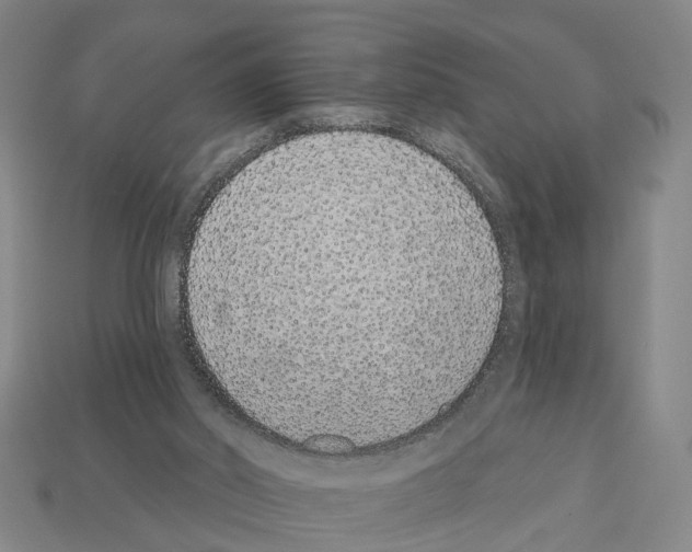 X0000112520014200909281026