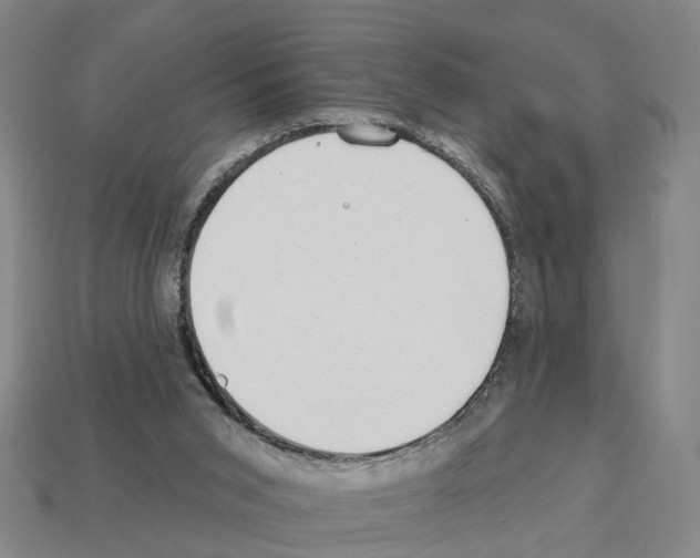 X0000112520015200909281026