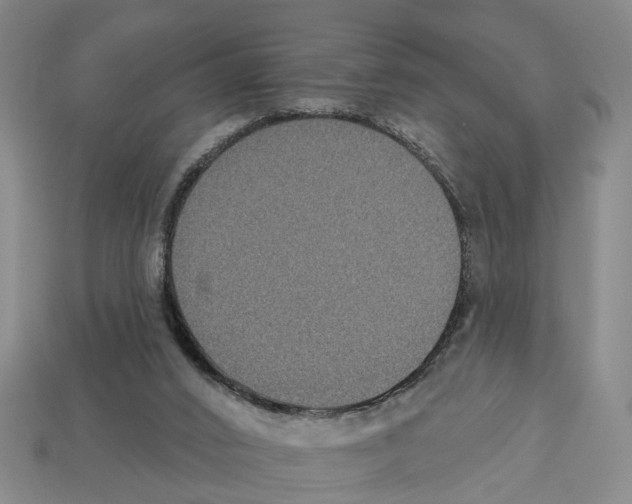 X0000112520016200909281026