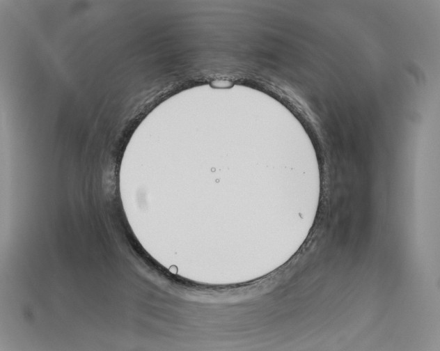 X0000112520017200909281026