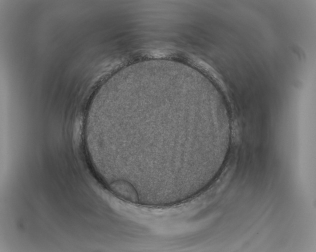 X0000112520018200909281026