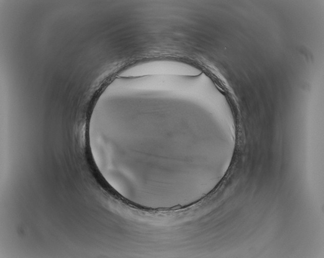 X0000112520019200909281026