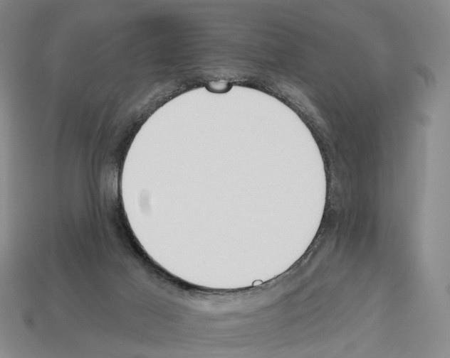 X0000112520021200909281026