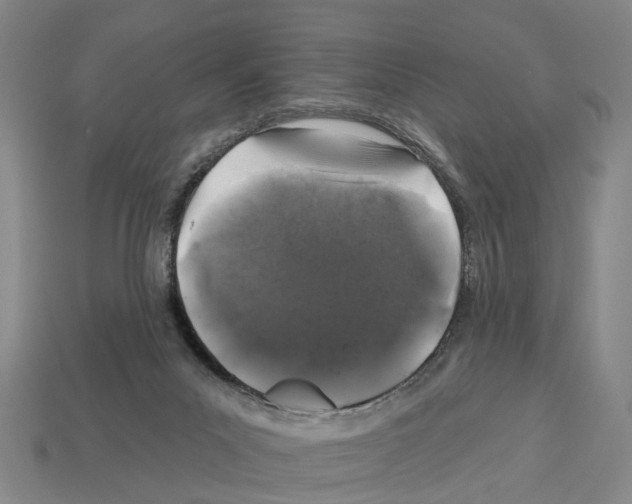 X0000112520023200909281026