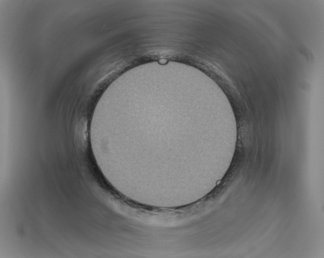 X0000112520024200909281026