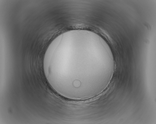 X0000112520025200909281026