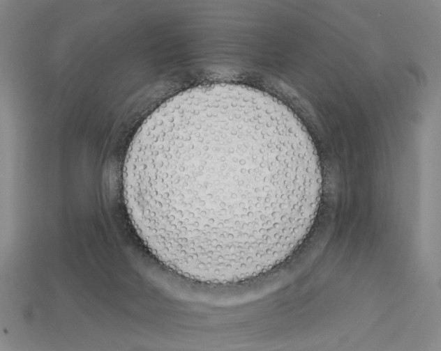 X0000112520026200909281026