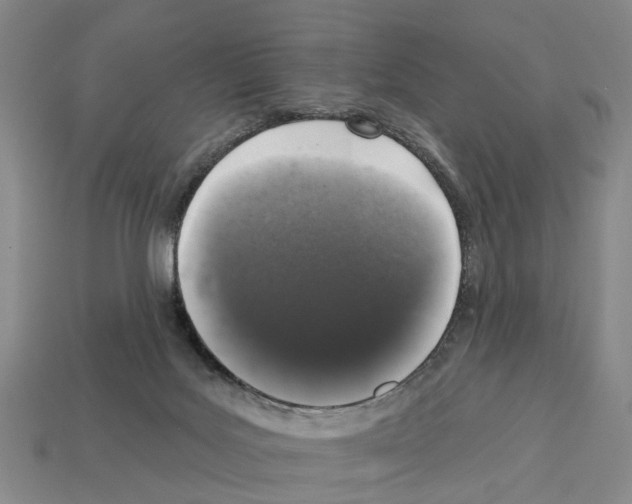 X0000112520027200909281026