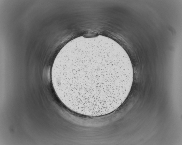 X0000112520028200909281026