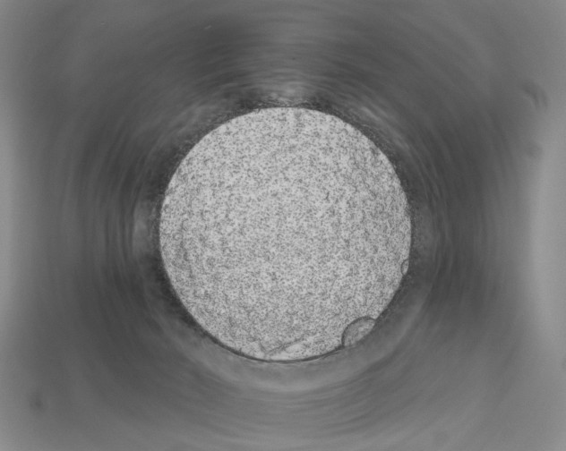 X0000112520030200909281026