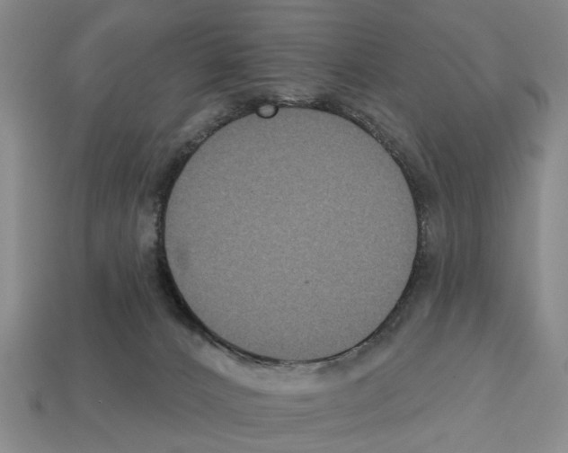 X0000112520032200909281026