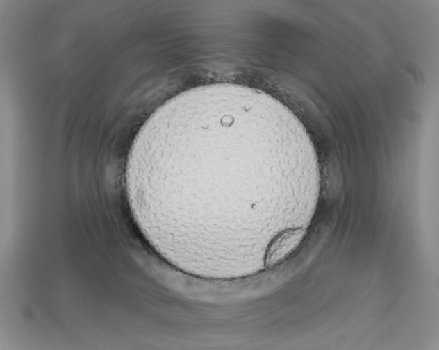 X0000112520034200909281026