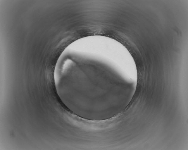 X0000112520035200909281026