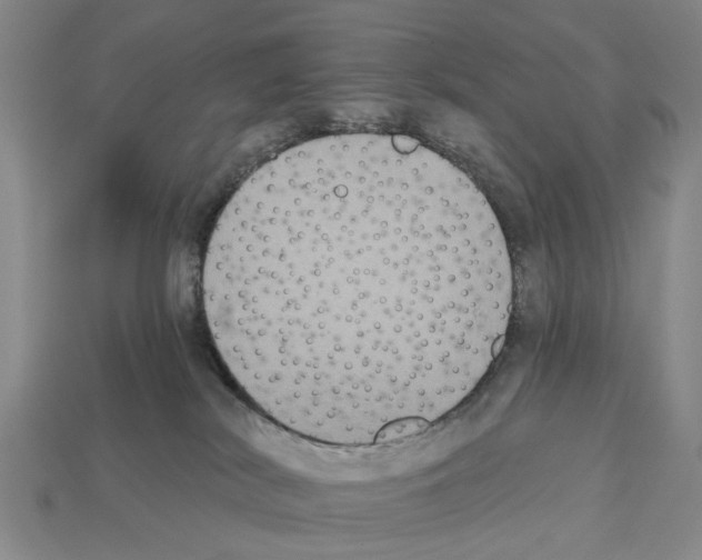 X0000112520038200909281026