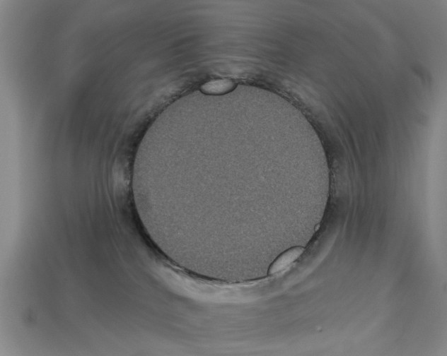 X0000112520040200909281026