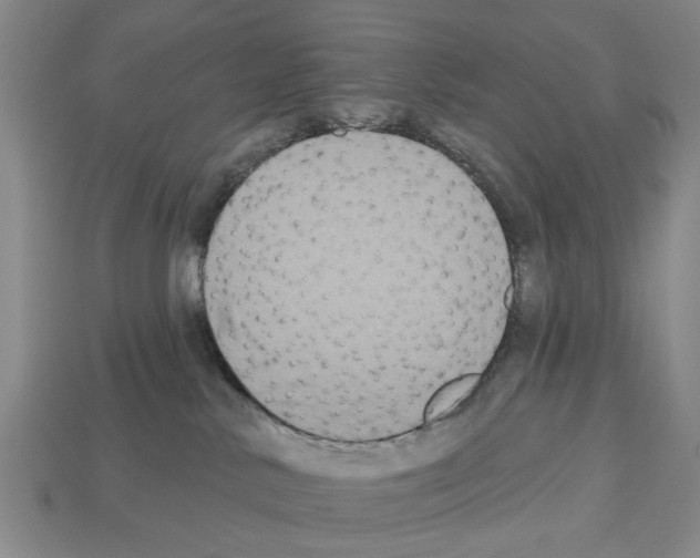X0000112520042200909281026