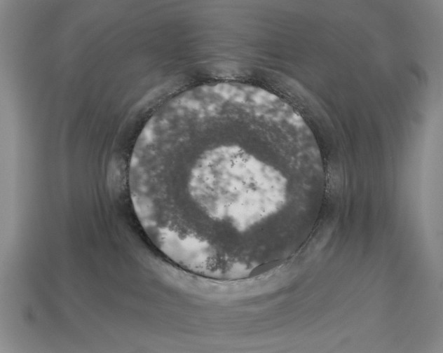 X0000112520043200909281026