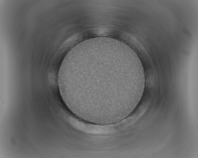 X0000112520044200909281026
