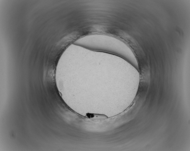 X0000112520045200909281026