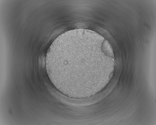 X0000112520046200909281026