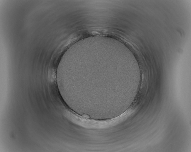 X0000112520048200909281026