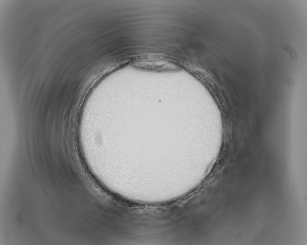 X0000112520049200909281025