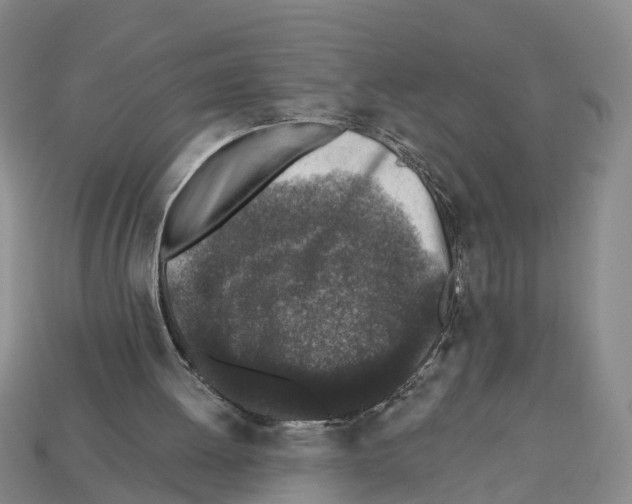 X0000112520052200909281025